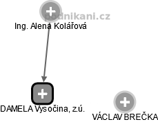 DAMELA Vysočina, z.ú. - náhled vizuálního zobrazení vztahů obchodního rejstříku