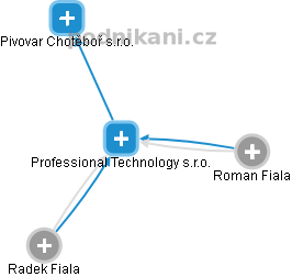 Professional Technology s.r.o. - náhled vizuálního zobrazení vztahů obchodního rejstříku