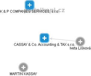 CASSAY & Co. Accounting & TAX s.r.o. - náhled vizuálního zobrazení vztahů obchodního rejstříku