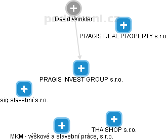 PRAGIS INVEST GROUP  s.r.o. - náhled vizuálního zobrazení vztahů obchodního rejstříku