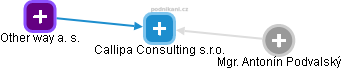 Callipa Consulting s.r.o. - náhled vizuálního zobrazení vztahů obchodního rejstříku