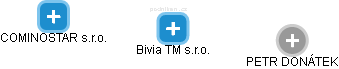 Bivia TM s.r.o. - náhled vizuálního zobrazení vztahů obchodního rejstříku