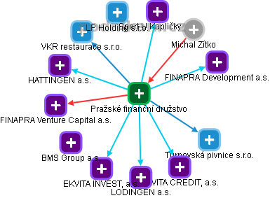 Pražské finanční družstvo - náhled vizuálního zobrazení vztahů obchodního rejstříku