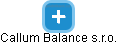 Callum Balance s.r.o. - náhled vizuálního zobrazení vztahů obchodního rejstříku