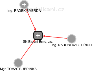 SK Bisoni Brno, z.s. - náhled vizuálního zobrazení vztahů obchodního rejstříku
