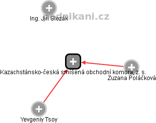 Kazachstánsko-česká smíšená obchodní komora, z. s. - náhled vizuálního zobrazení vztahů obchodního rejstříku