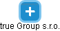 True Group s.r.o. - náhled vizuálního zobrazení vztahů obchodního rejstříku