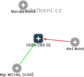 GEEN DBS SE - náhled vizuálního zobrazení vztahů obchodního rejstříku