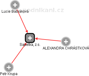 Sapetka, z.s. - náhled vizuálního zobrazení vztahů obchodního rejstříku