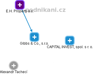 Gibbs & Co., s.r.o. - náhled vizuálního zobrazení vztahů obchodního rejstříku