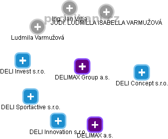 DELIMAX Group a.s. - náhled vizuálního zobrazení vztahů obchodního rejstříku