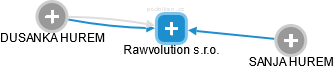 Rawvolution s.r.o. - náhled vizuálního zobrazení vztahů obchodního rejstříku