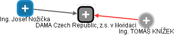 DAMA Czech Republic, z.s. v likvidaci - náhled vizuálního zobrazení vztahů obchodního rejstříku