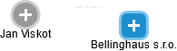 Bellinghaus s.r.o. - náhled vizuálního zobrazení vztahů obchodního rejstříku