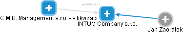 INTUM Company s.r.o. - náhled vizuálního zobrazení vztahů obchodního rejstříku
