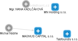MAGNUS CAPITAL s.r.o. - náhled vizuálního zobrazení vztahů obchodního rejstříku