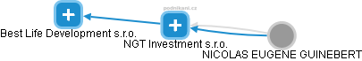 NGT Investment s.r.o. - náhled vizuálního zobrazení vztahů obchodního rejstříku