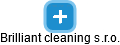 Brilliant cleaning s.r.o. - náhled vizuálního zobrazení vztahů obchodního rejstříku