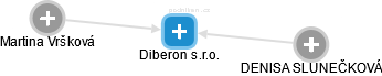 Diberon s.r.o. - náhled vizuálního zobrazení vztahů obchodního rejstříku