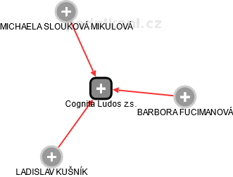 Cognita Ludos z.s. - náhled vizuálního zobrazení vztahů obchodního rejstříku