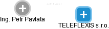 TELEFLEXIS s.r.o. - náhled vizuálního zobrazení vztahů obchodního rejstříku