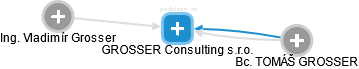GROSSER Consulting s.r.o. - náhled vizuálního zobrazení vztahů obchodního rejstříku