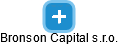 Bronson Capital s.r.o. - náhled vizuálního zobrazení vztahů obchodního rejstříku