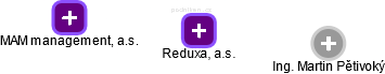 Reduxa, a.s. - náhled vizuálního zobrazení vztahů obchodního rejstříku