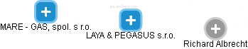 LAYA & PEGASUS s.r.o. - náhled vizuálního zobrazení vztahů obchodního rejstříku