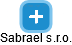 Sabrael s.r.o. - náhled vizuálního zobrazení vztahů obchodního rejstříku