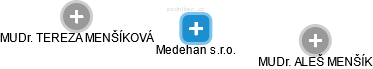 Medehan s.r.o. - náhled vizuálního zobrazení vztahů obchodního rejstříku