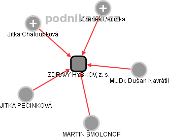 ZDRAVÝ HÝSKOV, z. s. - náhled vizuálního zobrazení vztahů obchodního rejstříku