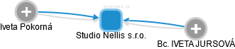 Studio Nellis s.r.o. - náhled vizuálního zobrazení vztahů obchodního rejstříku