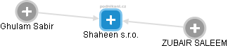 Shaheen s.r.o. - náhled vizuálního zobrazení vztahů obchodního rejstříku