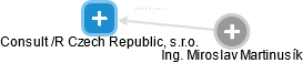 Consult /R Czech Republic, s.r.o. - náhled vizuálního zobrazení vztahů obchodního rejstříku