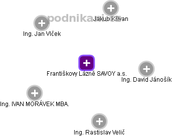 Františkovy Lázně SAVOY a.s. - náhled vizuálního zobrazení vztahů obchodního rejstříku