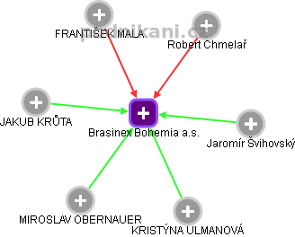 Brasinex Bohemia a.s. - náhled vizuálního zobrazení vztahů obchodního rejstříku