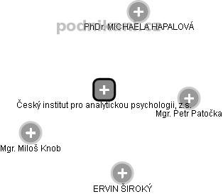 Český institut pro analytickou psychologii, z.s. - náhled vizuálního zobrazení vztahů obchodního rejstříku