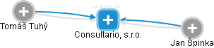 Consultario, s.r.o. - náhled vizuálního zobrazení vztahů obchodního rejstříku