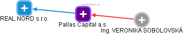 Pallas Capital a.s. - náhled vizuálního zobrazení vztahů obchodního rejstříku