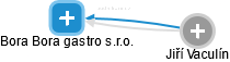Bora Bora gastro s.r.o. - náhled vizuálního zobrazení vztahů obchodního rejstříku