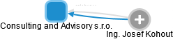 Consulting and Advisory s.r.o. - náhled vizuálního zobrazení vztahů obchodního rejstříku