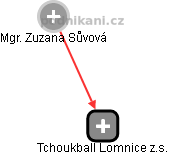 Tchoukball Lomnice z.s. - náhled vizuálního zobrazení vztahů obchodního rejstříku