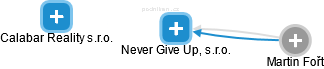 Never Give Up, s.r.o. - náhled vizuálního zobrazení vztahů obchodního rejstříku