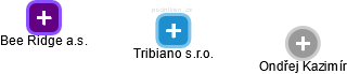 Tribiano s.r.o. - náhled vizuálního zobrazení vztahů obchodního rejstříku