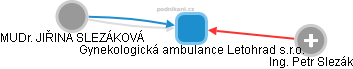 Gynekologická ambulance Letohrad s.r.o. - náhled vizuálního zobrazení vztahů obchodního rejstříku