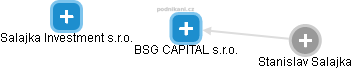 BSG CAPITAL s.r.o. - náhled vizuálního zobrazení vztahů obchodního rejstříku