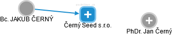 Černý Seed s.r.o. - náhled vizuálního zobrazení vztahů obchodního rejstříku