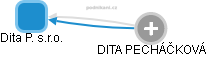 Dita P. s.r.o. - náhled vizuálního zobrazení vztahů obchodního rejstříku