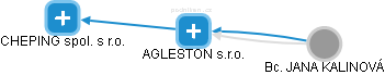 AGLESTON s.r.o. - náhled vizuálního zobrazení vztahů obchodního rejstříku